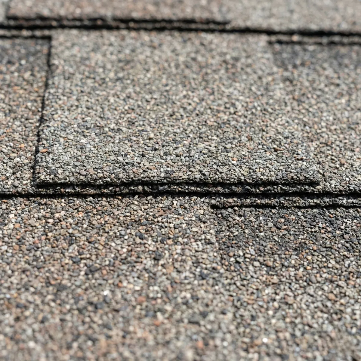 AI receptionist managing roofing service calls with instant notifications