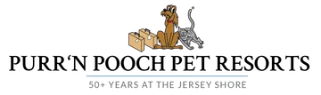 Purrn Pooch