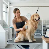 Pet Grooming Appointment